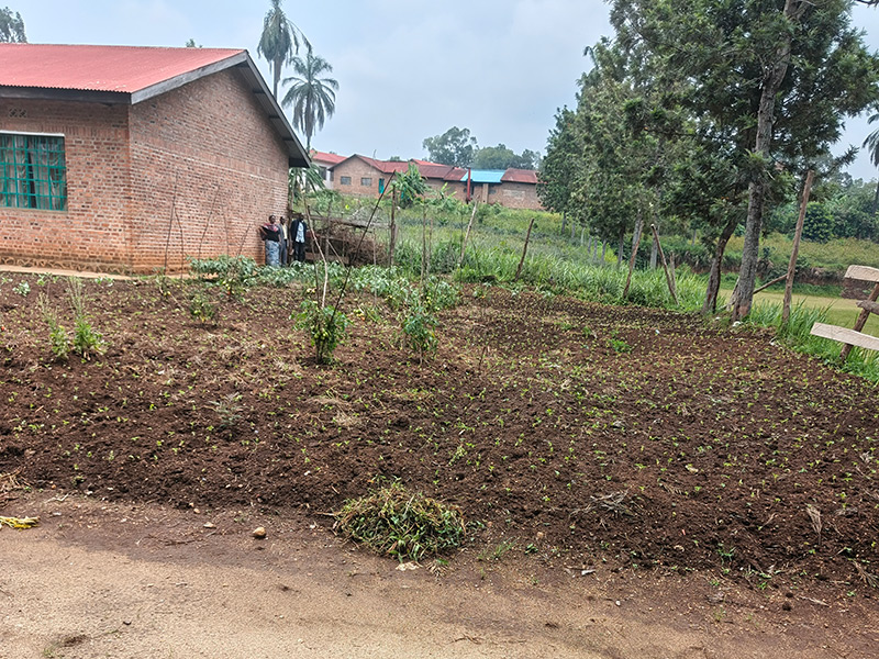 Terreno-donde-construir-las-aulas-800x600